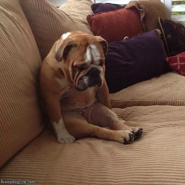 I Dont Want To Get Up