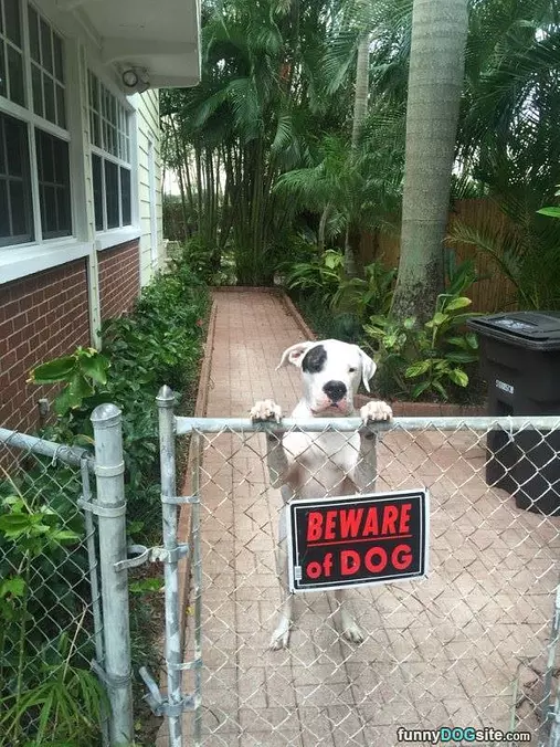 Beware