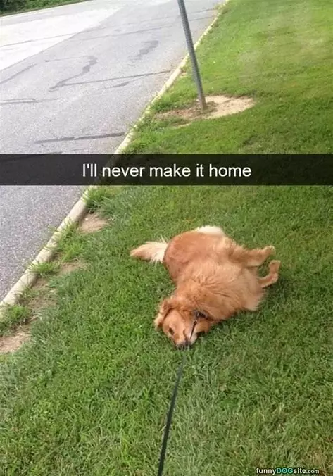 Never Going To Make It
