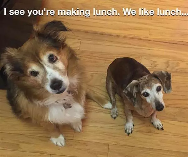 We Also Happen To Like Lunch