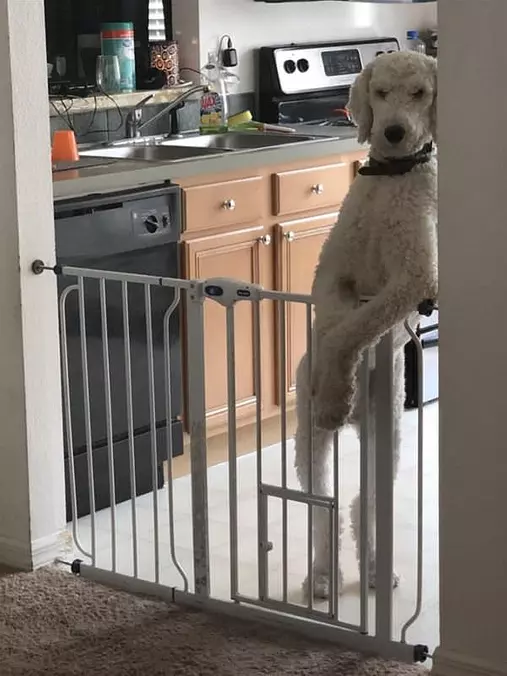 Standing Strong