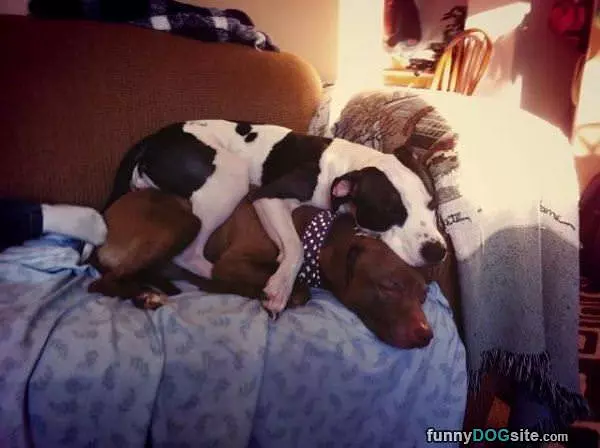Staying Warm Together