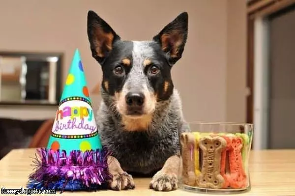 I Love My Birthday