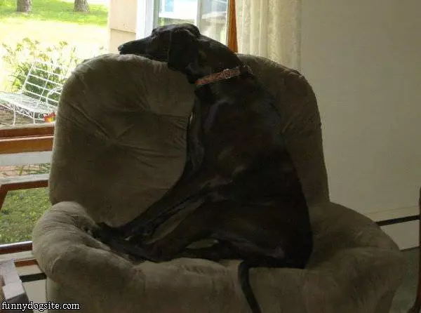 My Favorite Seat