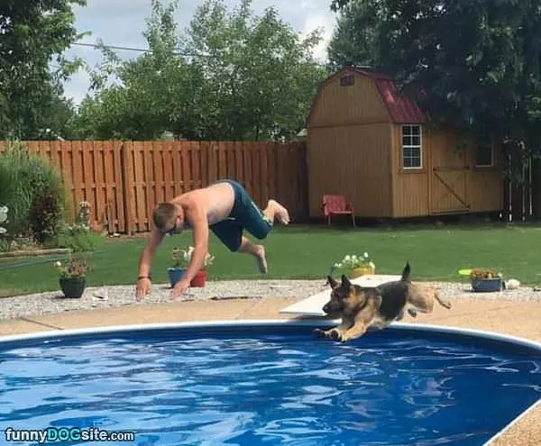 Diving Contest