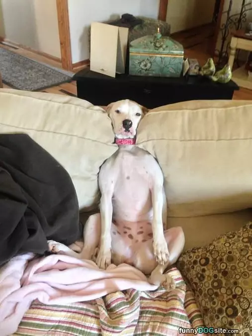 Lazy On The Couch