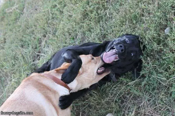Hugs Hugs Hugs