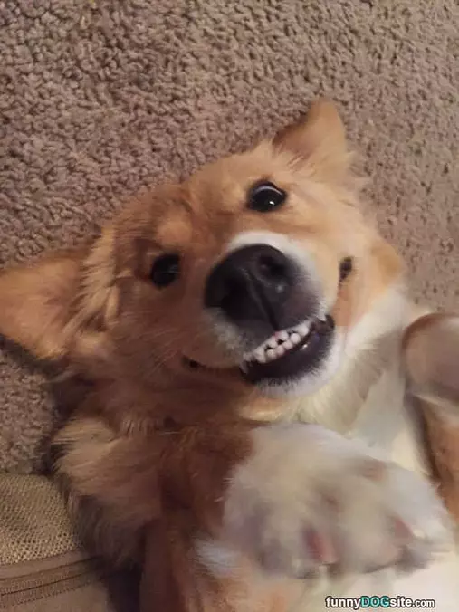 Cheeeeese