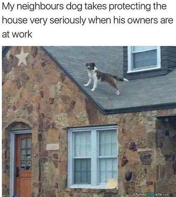 Protecting The High Ground