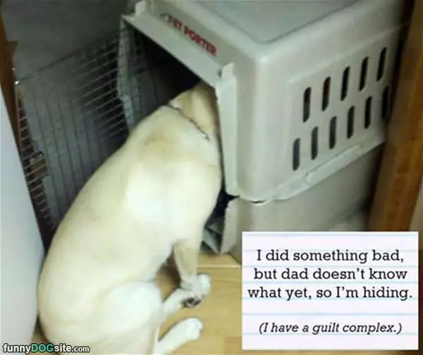 I Am Hiding