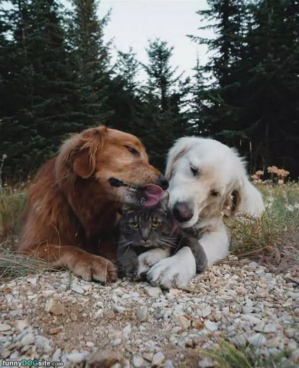 Kissing Our Friend