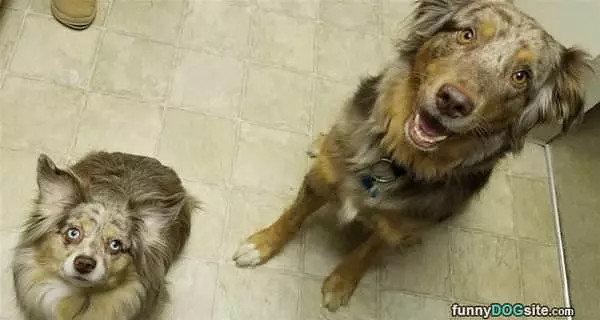 Can We Has A Snack