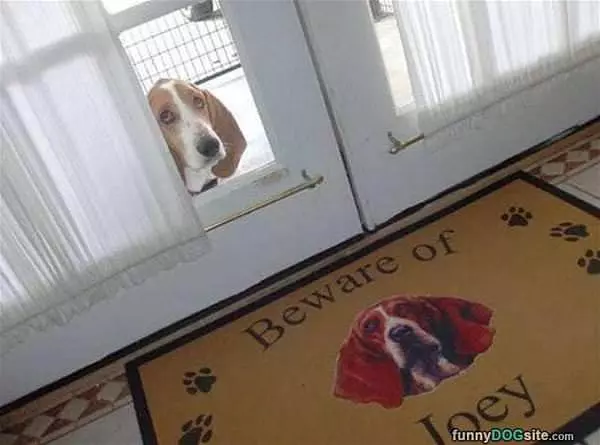 Beware Joey