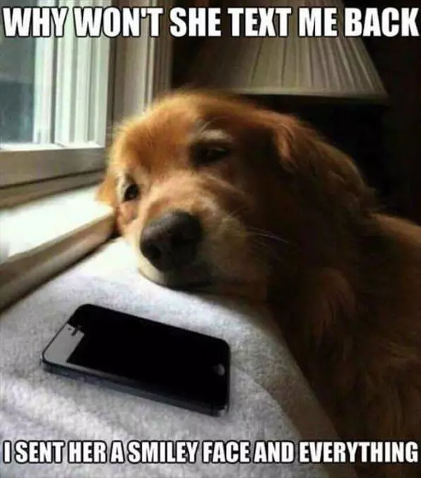Text Me Back