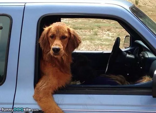 Yo Wassup Dog