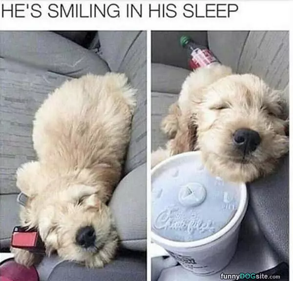 Smiling In His Sleep
