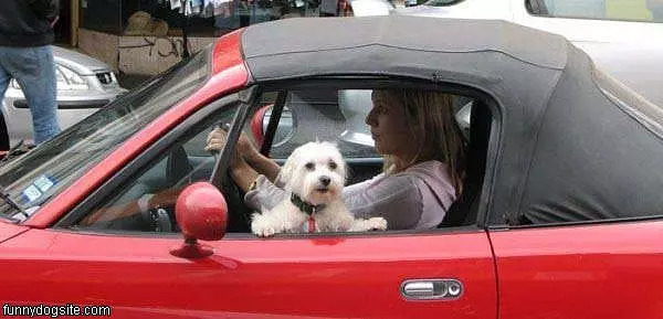 Loves Driving