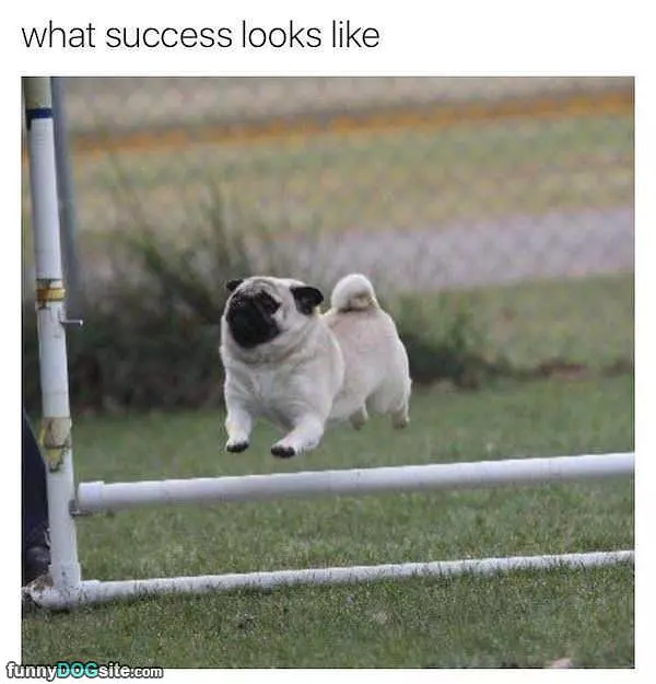 Success