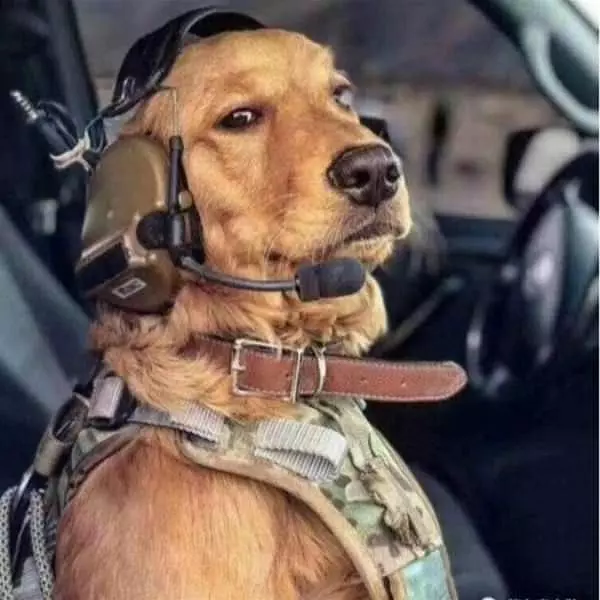 I Will Be Your Pilot