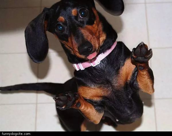 Begging