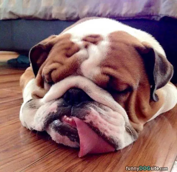 I Am Sooo Sleepy