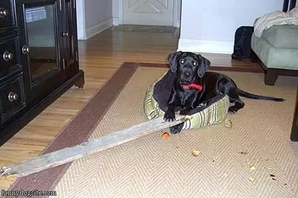 Got My Stick
