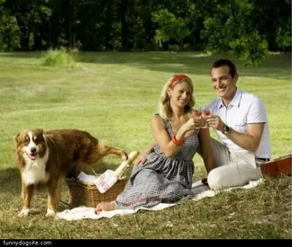 Picnic