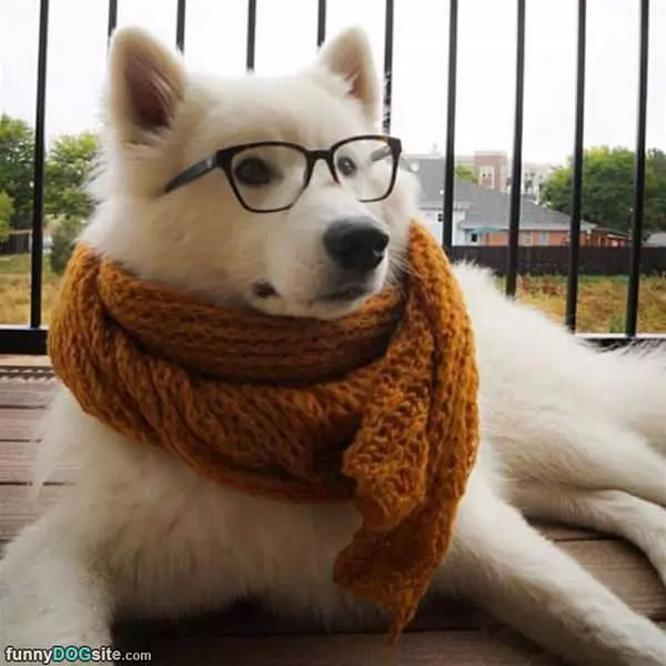 Keeping Super Warm