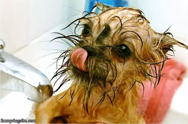 Is A Bath Times
