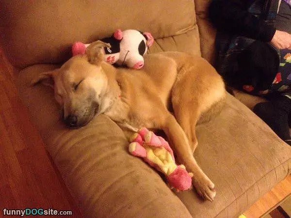 Great Place To Sleep