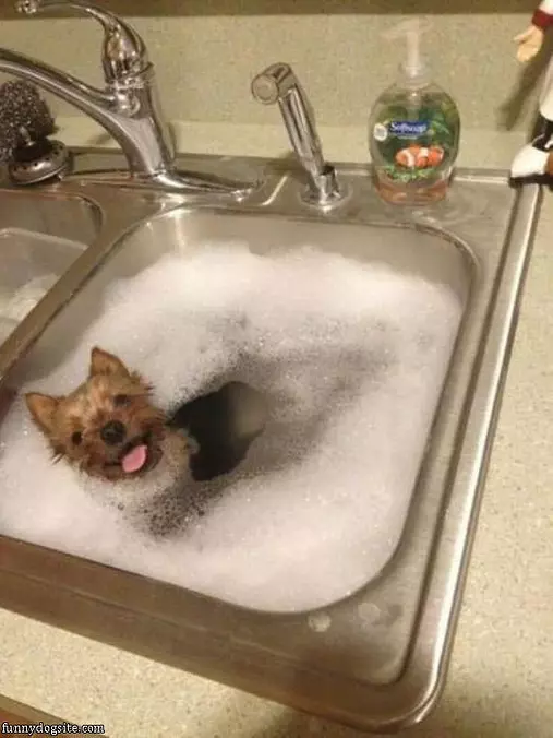 Just Getting A Bath