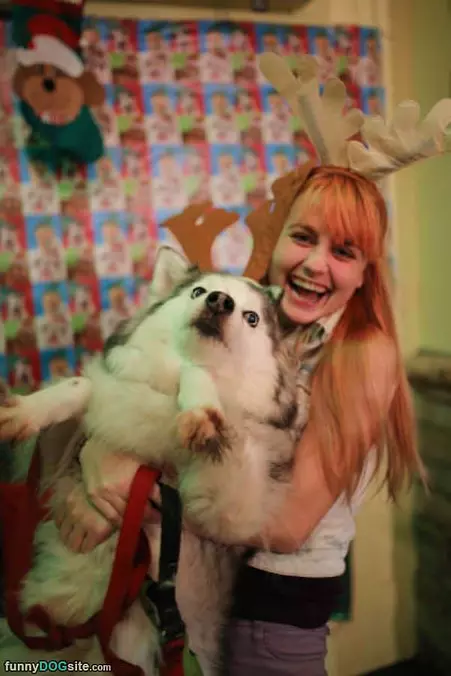 We Are Both Reindeer