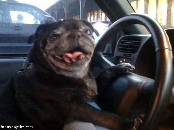 Going For A Little Drive