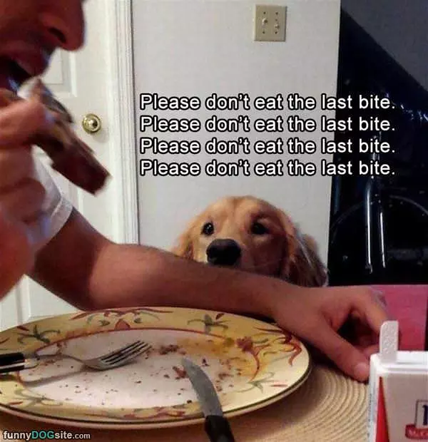 Save Me The Last Bite