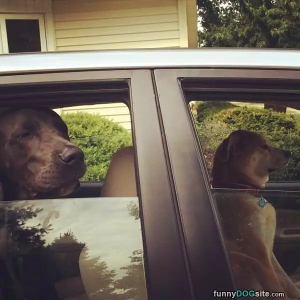 Riding With Style