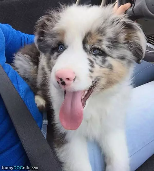 Such Cute Eyes