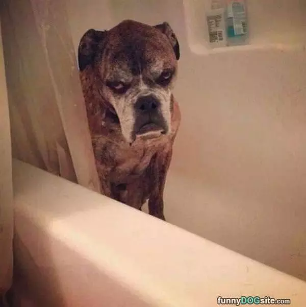 I Hate Bath Time