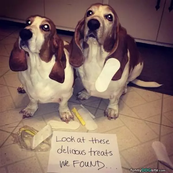 We Found These Treats