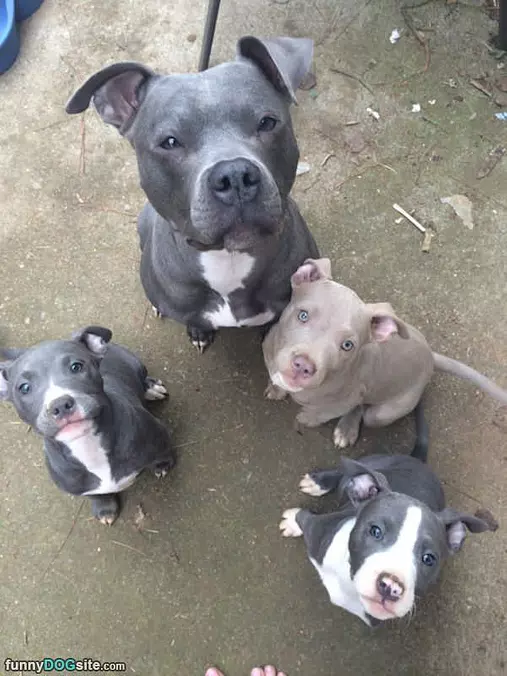 These Are My Kids