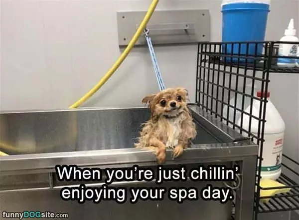 When You Just Chillin