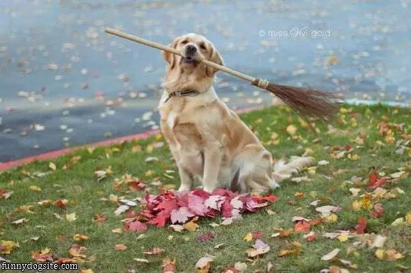 Sweeping Up