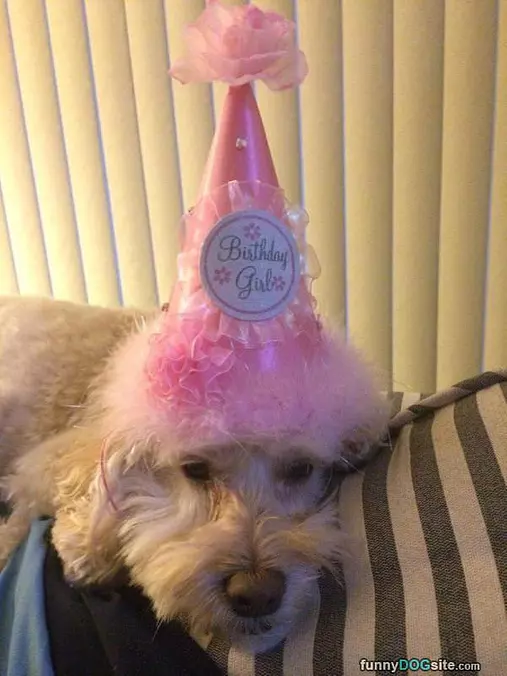 Birthday Girl