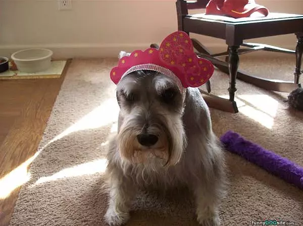 Yay Its My Birthday