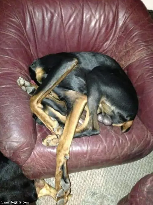 How I Sleep