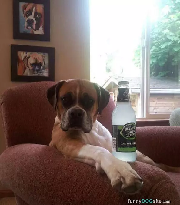 Just Chillin