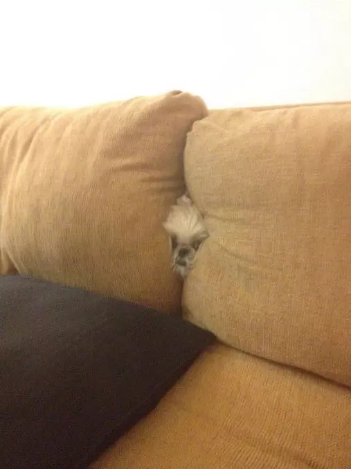 I Cant Fit