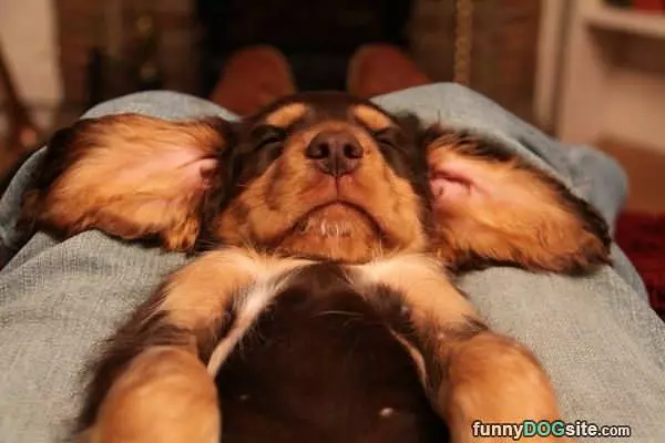 How I Sleep Today