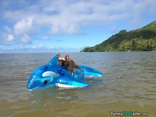 Doing Some Rafting
