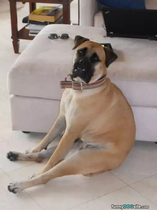 Just Sitting How I Want
