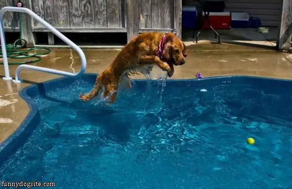 Having Fun In The Pool